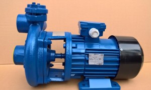 POMPA WIROWA  HYDROFOROWA  TH125/1-1B    MEPROZET